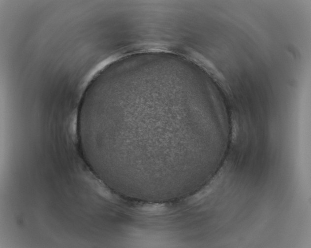 X0000114111174200910191656