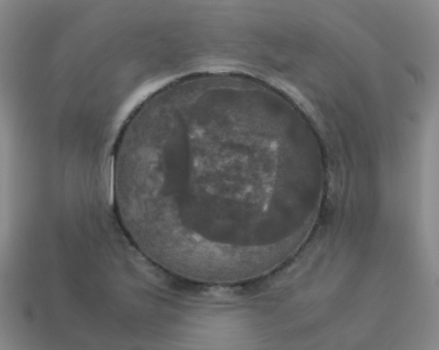 X0000114111175200910191656