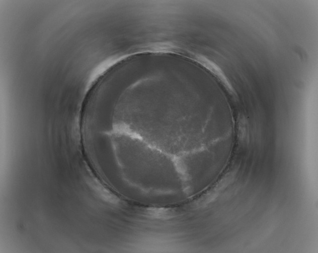 X0000114111176200910191656