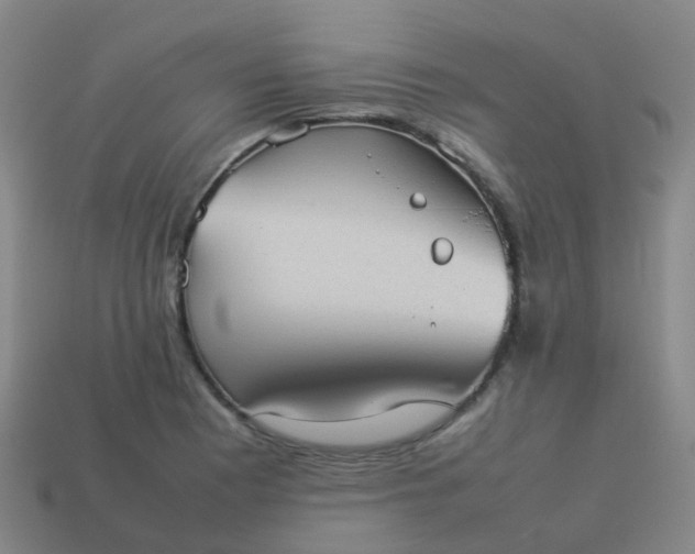 X0000114111177200910191656