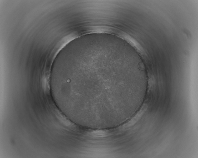 X0000114111178200910191656