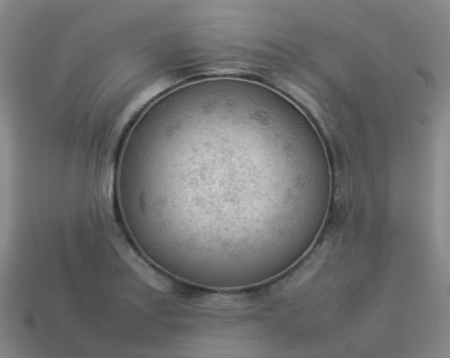 X0000114111179200910191656