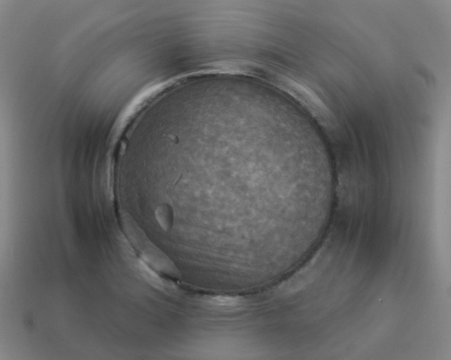 X0000114111180200910191656