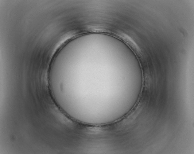 X0000114111182200910191656