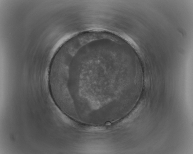 X0000114111183200910191656