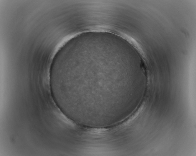 X0000114111184200910191656