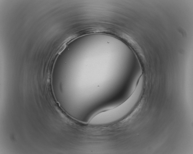 X0000114111185200910191656