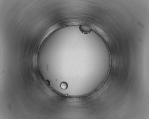 X0000114111186200910191656