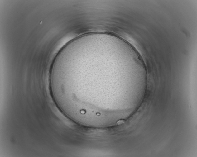 X0000114111187200910191656