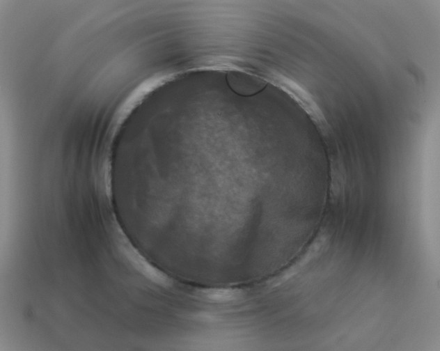 X0000114111188200910191656