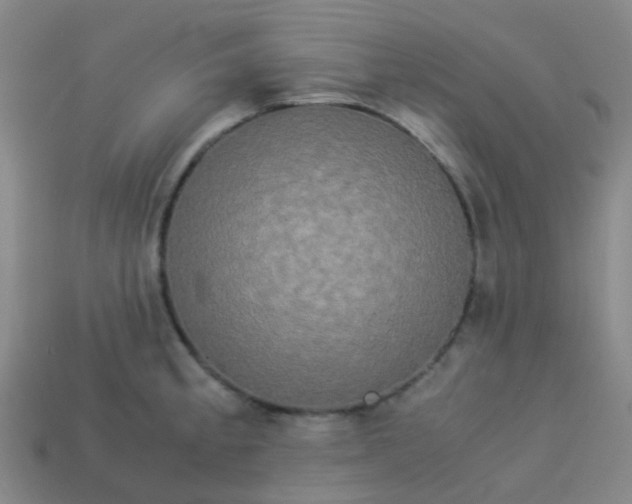 X0000114111189200910191656