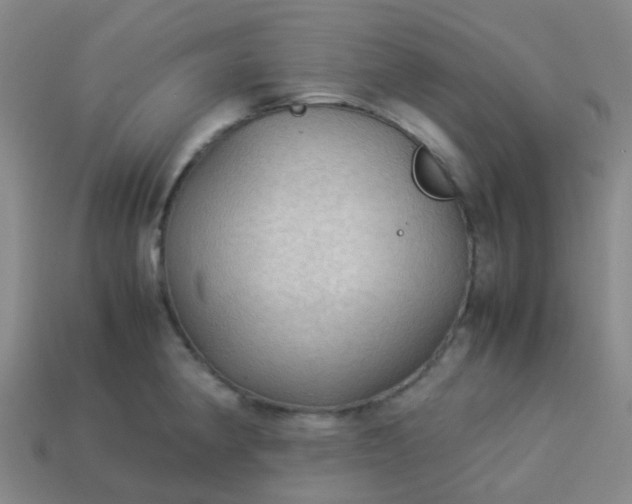 X0000114111190200910191656