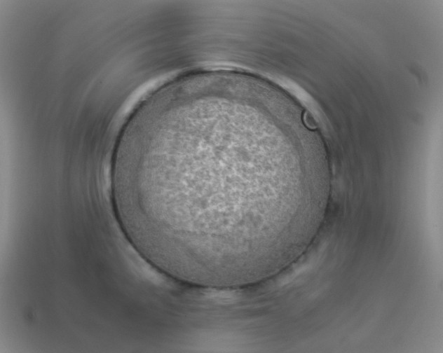 X0000114111191200910191656