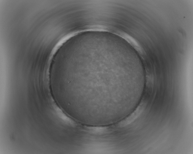 X0000114111192200910191656