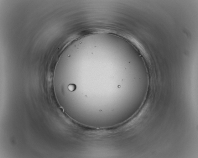 X0000114111193200910191656