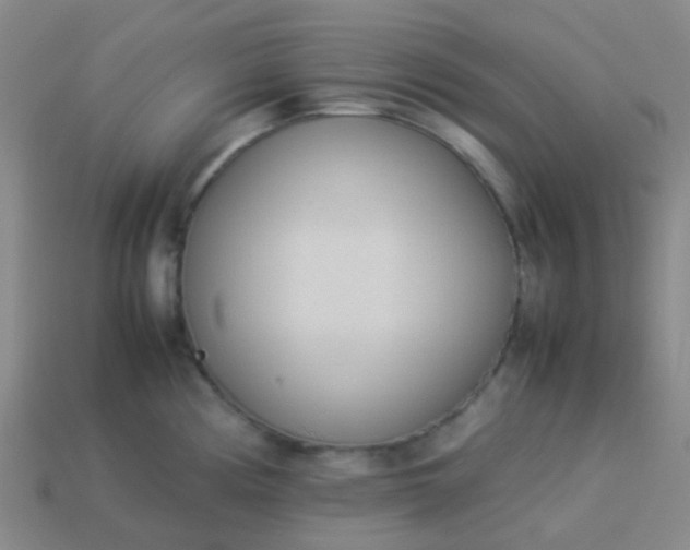 X0000114111194200910191656