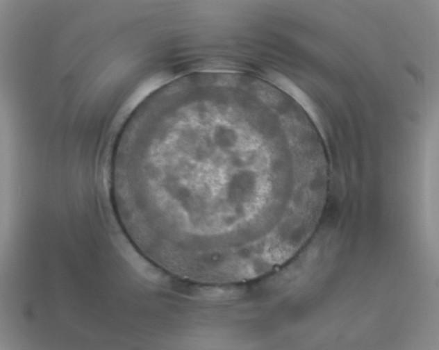 X0000114111195200910191656