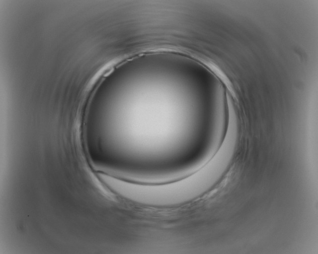 X0000114111197200910191656