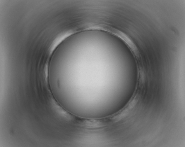 X0000114111198200910191656