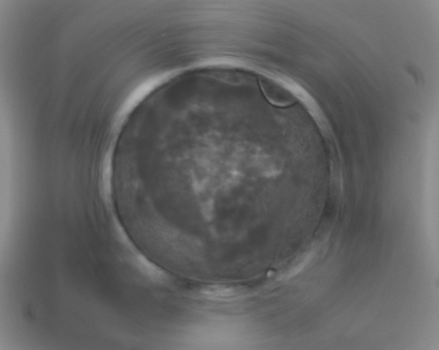 X0000114111199200910191656