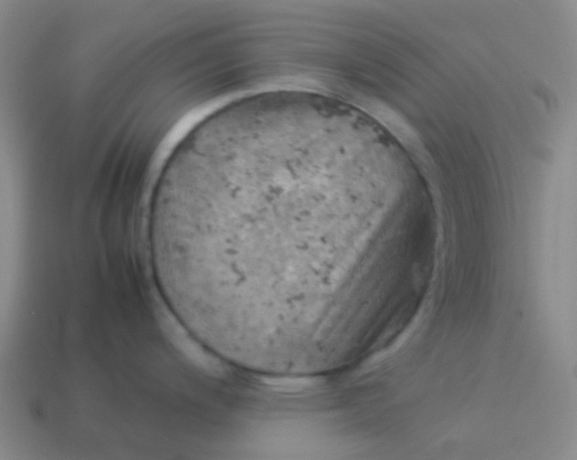 X0000114111200200910191656