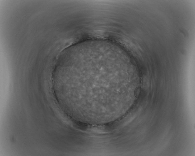 X0000114111201200910191655