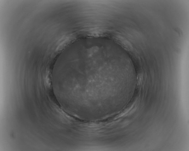 X0000114111202200910191655