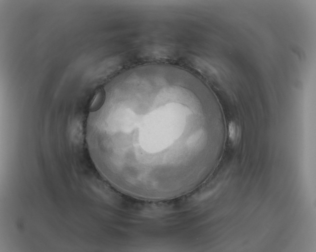 X0000114111203200910191655