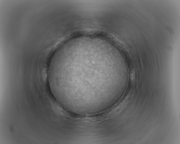 X0000114111204200910191655