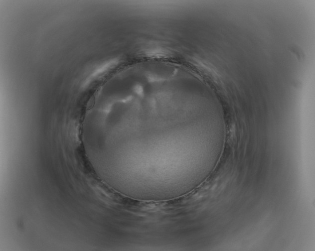 X0000114111205200910191655