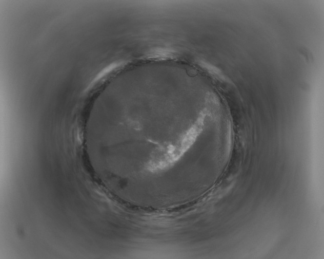 X0000114111206200910191655