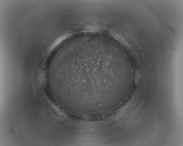 X0000114111208200910191655