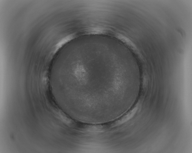 X0000114111210200910191655