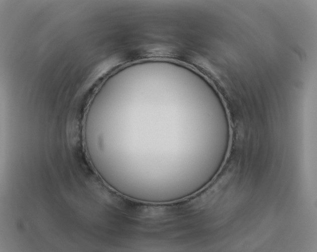 X0000114111211200910191655