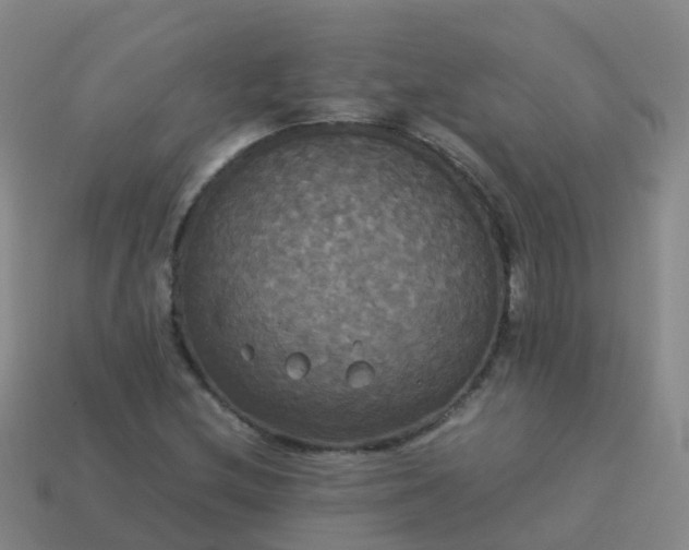 X0000114111212200910191655