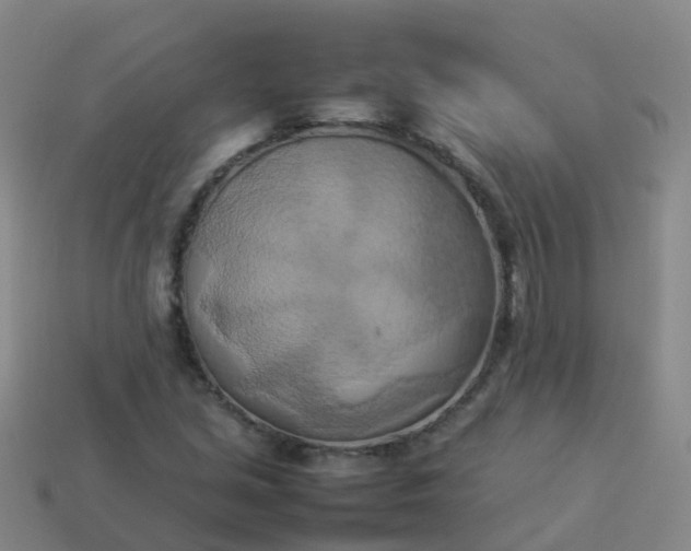 X0000114111213200910191655