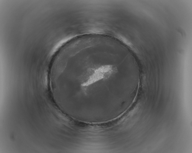 X0000114111214200910191655