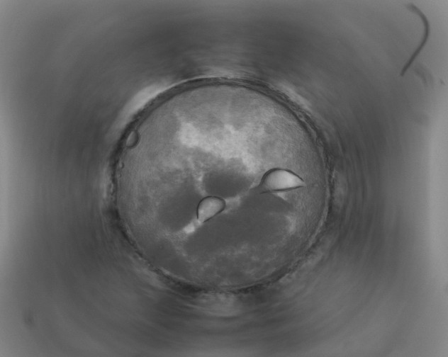 X0000114111215200910191655