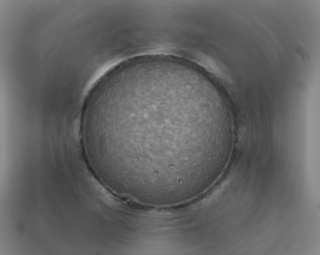 X0000114111216200910191655