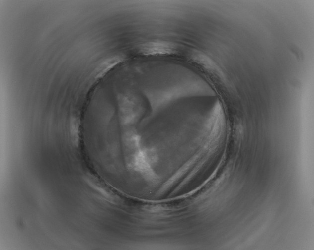 X0000114111217200910191655