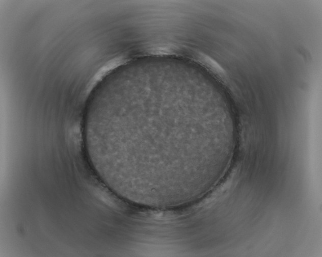 X0000114111218200910191655