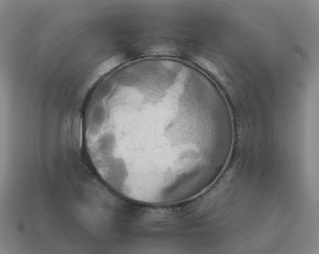 X0000114111219200910191655