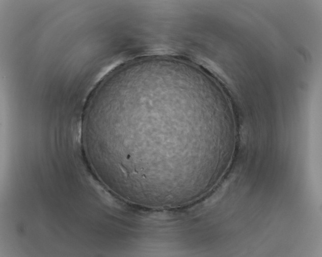 X0000114111220200910191655