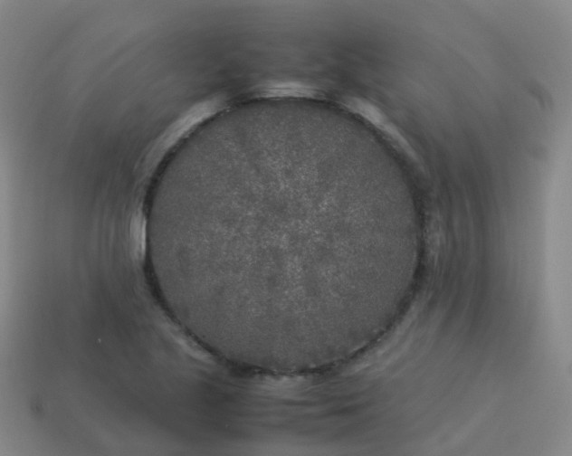 X0000114111221200910191655