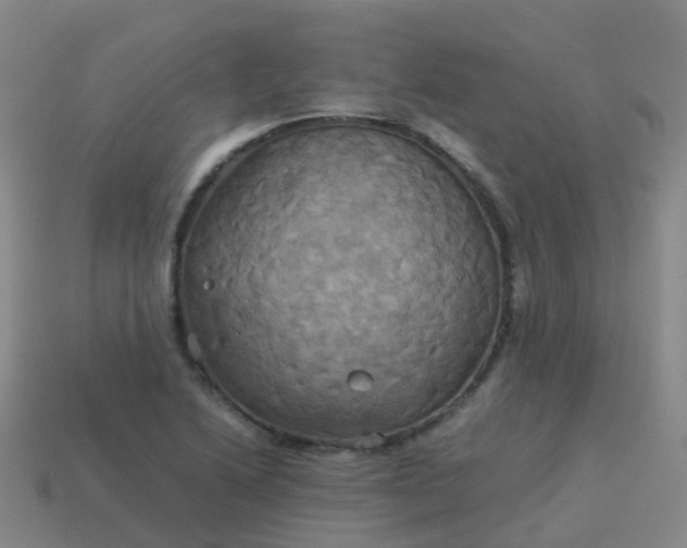 X0000114111222200910191655