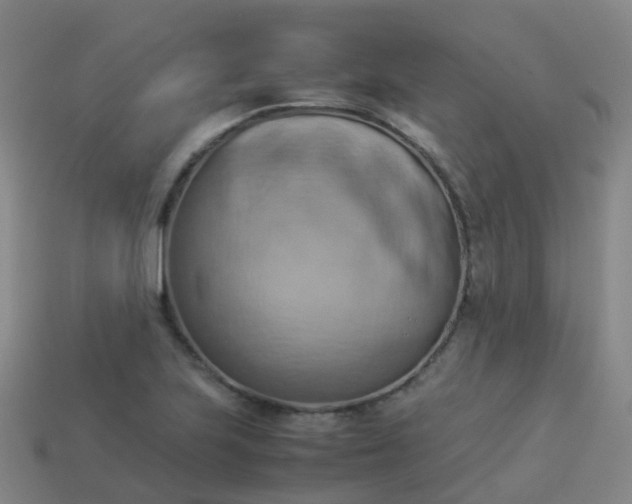 X0000114111223200910191655