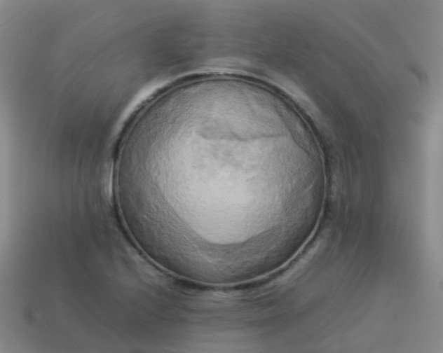 X0000114111224200910191655