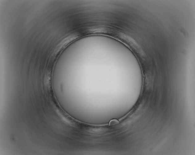 X0000114111225200910191655