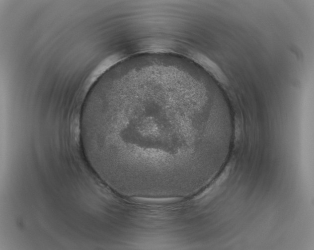 X0000114111226200910191655