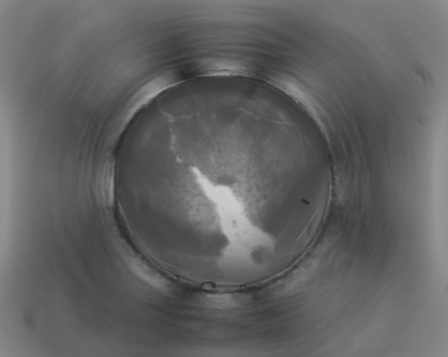 X0000114111227200910191655